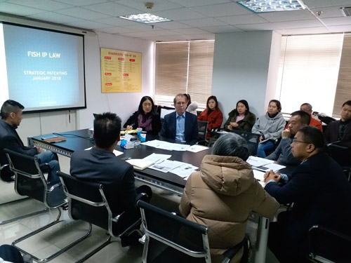 知产律师Fish1.jpg